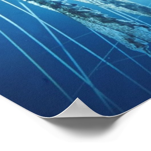 太平洋_海_クラゲ ポスター (角)