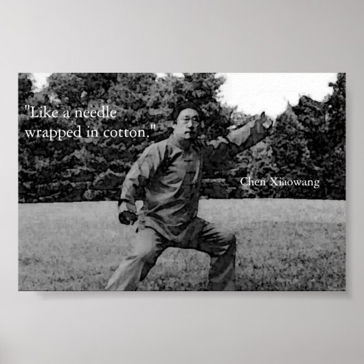 太極拳ポスター ポスター (正面)