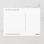 『太遊平洋のはがきの波の中の海』 ポストカード (裏面)