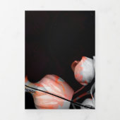 「太陽から黒に白い心」 & 疑念 三つ折りクリスマスカード (カバー)