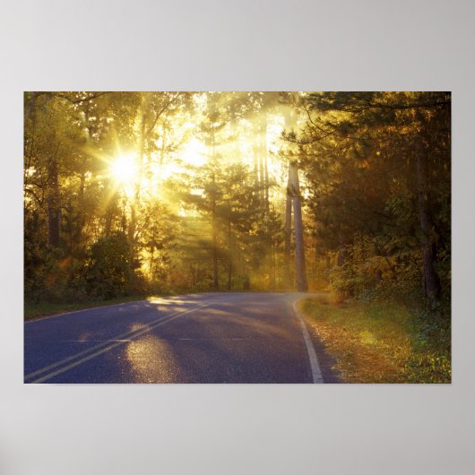 太陽が森の中を突進して道路に出る ポスター (正面)