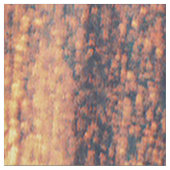 太陽が沈むにつれて... ファブリック (クローズアップ)