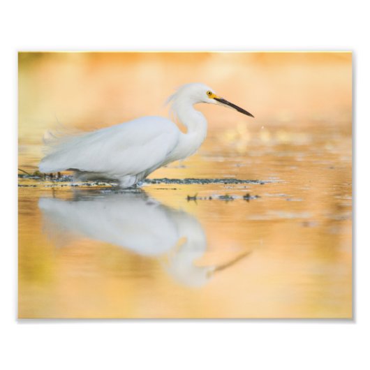 太陽が沈む時に消える フォトプリント (正面)