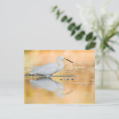 太陽が沈む時に消える ポストカード (スタンド正面)