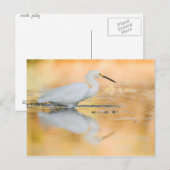 太陽が沈む時に消える ポストカード (正面/裏面)