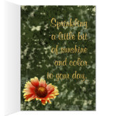 太陽が焼けガイラディアの写真の内側テンプレート (内側 (右))