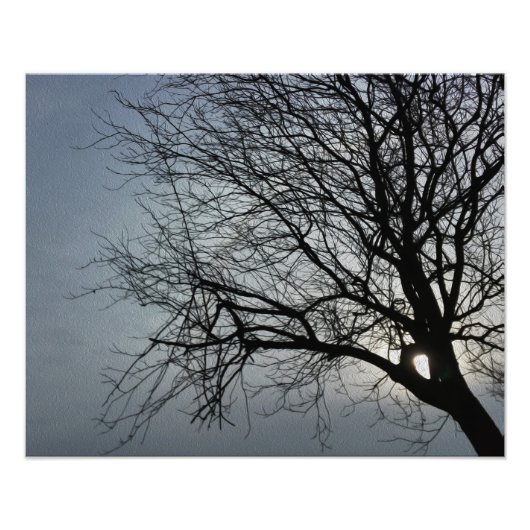 太陽が隠れている フォトプリント            (正面)