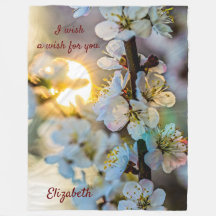 太陽とアプリコ日本のットの花