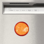 太陽と天文学太陽の収集磁石 マグネット (インサイチュ (食洗機))