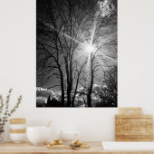 太陽と木の枝のトレーサリーのポスター ポスター (キッチン)