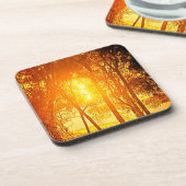 太陽と木の飲料用コースター コースター (左側)