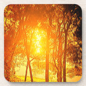 太陽と木の飲料用コースター コースター (正面)
