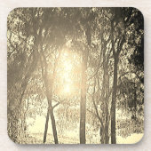 太陽と木の飲料用コースター コースター (正面)