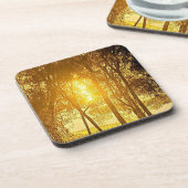 太陽と木 コースター (左側)