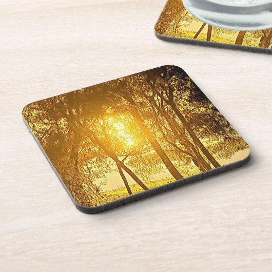 太陽と木 コースター (左側)