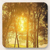 太陽と木 コースター (正面)