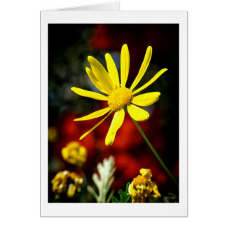 太陽にキスされる