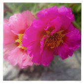 太陽にピンク色の花 タイル (正面)
