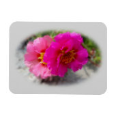 太陽にピンク色の花 マグネット (横)