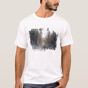 太陽に入るSnowyの砂利道 Tシャツ