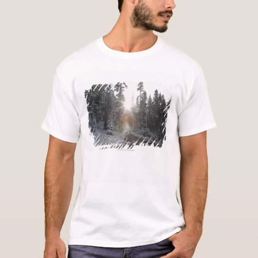 太陽に入るSnowyの砂利道 Tシャツ (正面)
