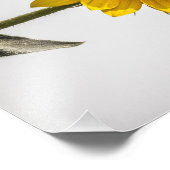 太陽に向かって フォトプリント            (角)