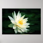 太陽に向かって ポスター (正面)