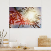 太陽に対するココナッツヤシの木 ポスター (キッチン)