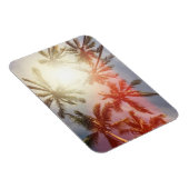 太陽に対するココナッツヤシの木 マグネット (右側)