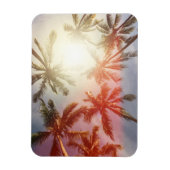 太陽に対するココナッツヤシの木 マグネット (縦)