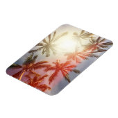 太陽に対するココナッツヤシの木 マグネット (左側)