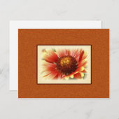 太陽に照らされたガイラディアの写真 - 会いたい ポストカード (正面/裏面)