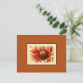 太陽に照らされたガイラディアの写真 - 会いたい ポストカード (スタンド正面)