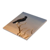 太陽に照らされたツリーブランチのワタリガラス、グランドキャニオン タイル (側面)