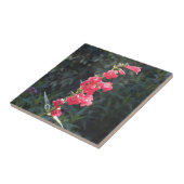 太陽に照らされたピンクのペンステモンの花 タイル (側面)