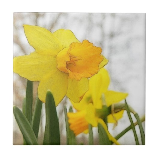 太陽に照らされたラッパスイセン タイル (正面)