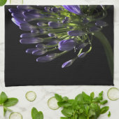 太陽に照らされた咲く紫色のアガパンサス属、アフリカユリ キッチンタオル (折り畳み)