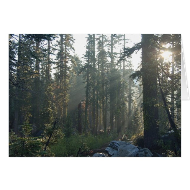 太陽に照らされた孤独 (正面横)