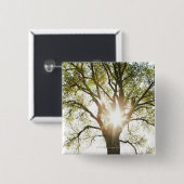 太陽に照らされた木 缶バッジ (正面&裏面)