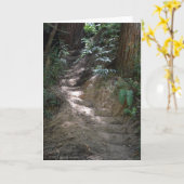 太陽に照らされた森林は空白のなカード歩みます カード (黄色い花)