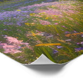 太陽に照らされた緑の草の畑 ポスター (角)