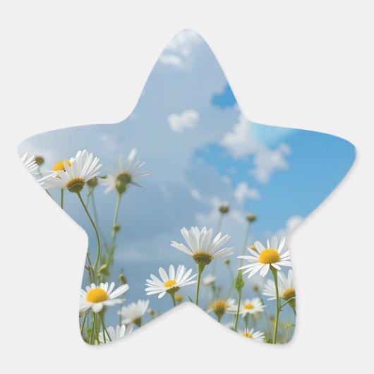 太陽に照らされた花弁 星シール (正面)