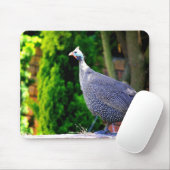 太陽に立つ青いヘルメットをかぶったホロホロ鳥 マウスパッド (マウス)