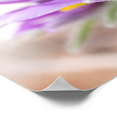 太陽に紫の花 ポスター (角)