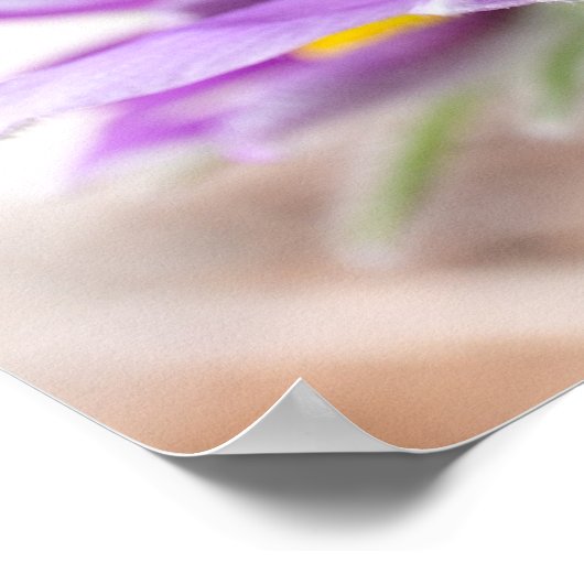 太陽に紫の花 ポスター (角)