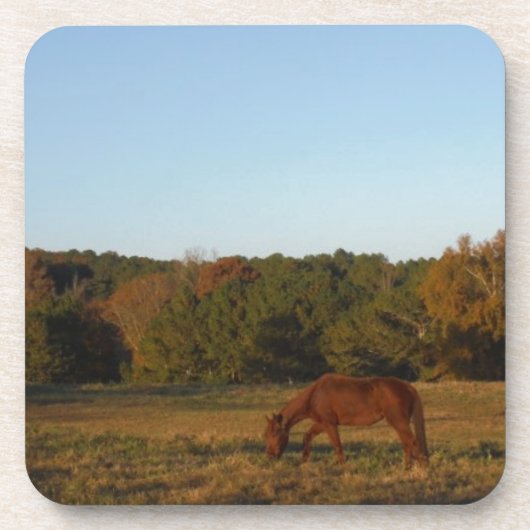 太陽に茶色の馬 コースター (正面)