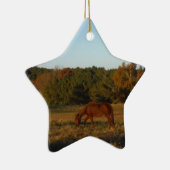 太陽に茶色の馬 セラミックオーナメント (右)