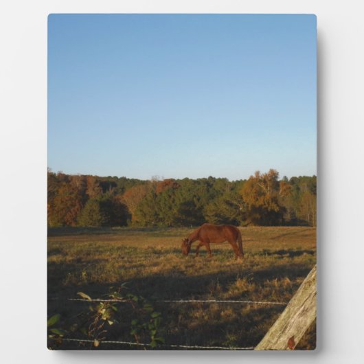 太陽に茶色の馬 フォトプラーク (正面)