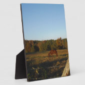 太陽に茶色の馬 フォトプラーク (側面)