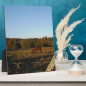 太陽に茶色の馬 フォトプラーク (側面)